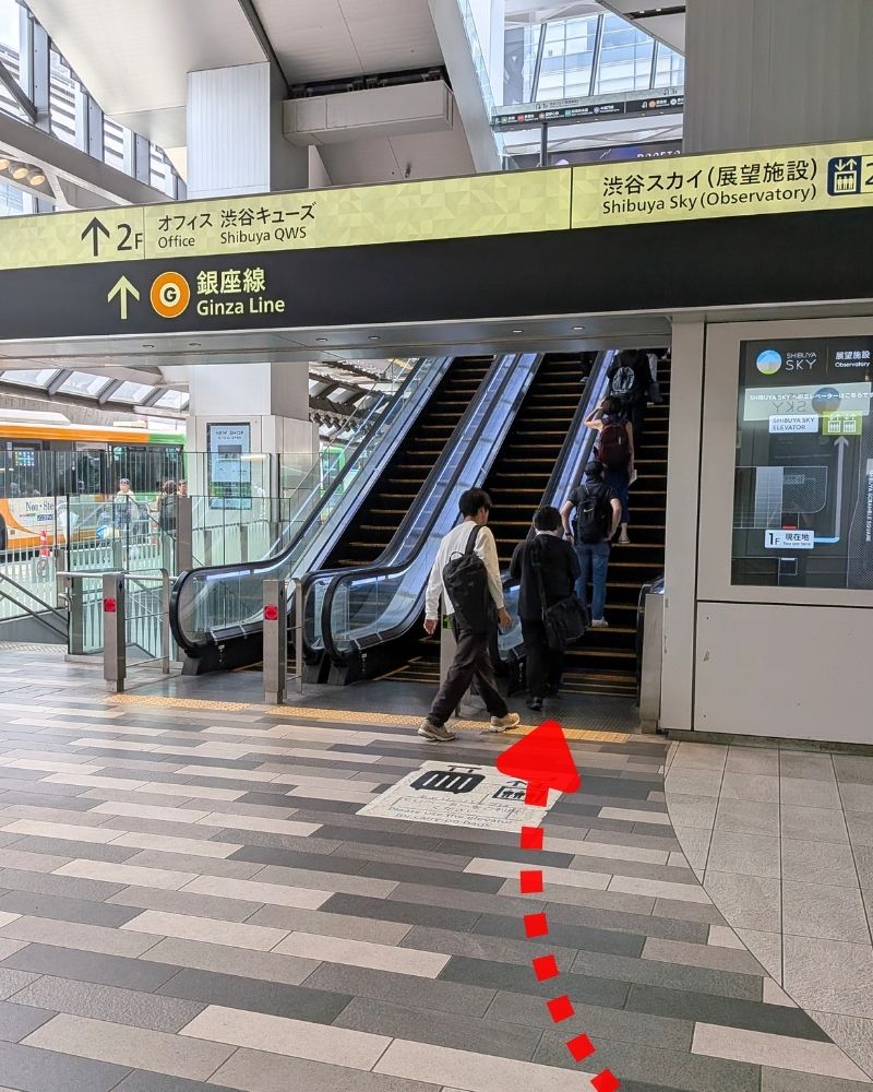 手順6