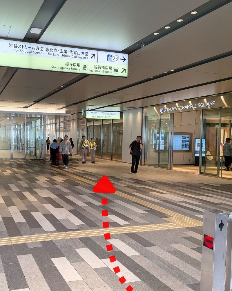 手順7
